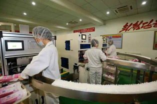 乐浪工厂展新颜 质量优良的个人卫生用品获赞誉